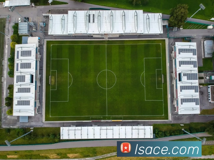 蓝狮在线官网平台生态图