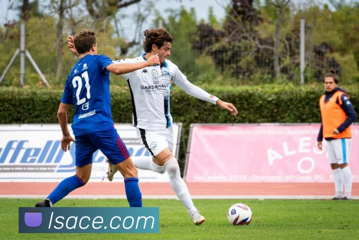 蓝狮在线官网全站App