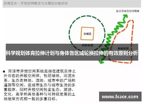科学规划体育拉伸计划与身体各区域轮换拉伸的有效原则分析